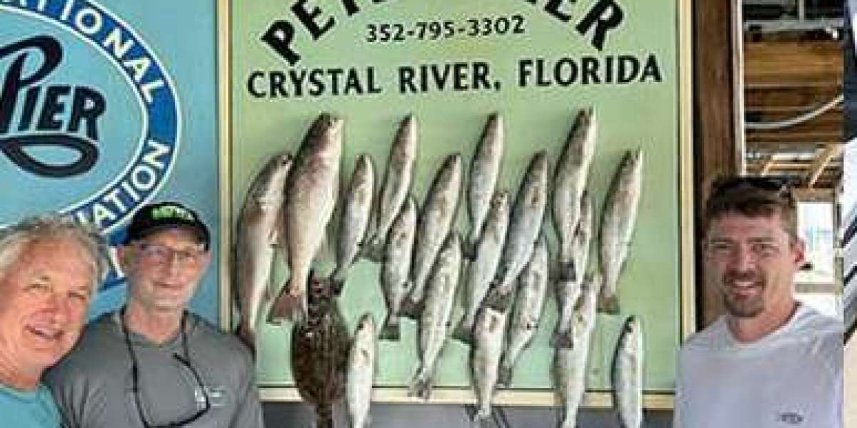 Crystal River Grouper Fishing Charters: The Best Time & Techniques