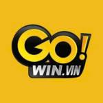 gowin vin Profile Picture