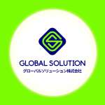 zglobalsolution solution Profile Picture