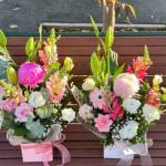 Vermont Florist Profile Picture