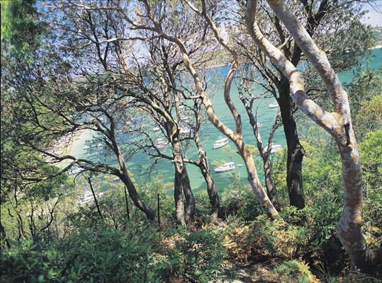 Capital Plumbing Group is now listed on localitylist.com.au