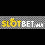 Slotbet Link Profile Picture