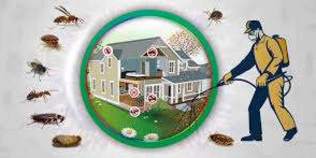 Often requiring professional bed bug removal service Oldsmar