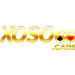 Xoso66 Profile Picture