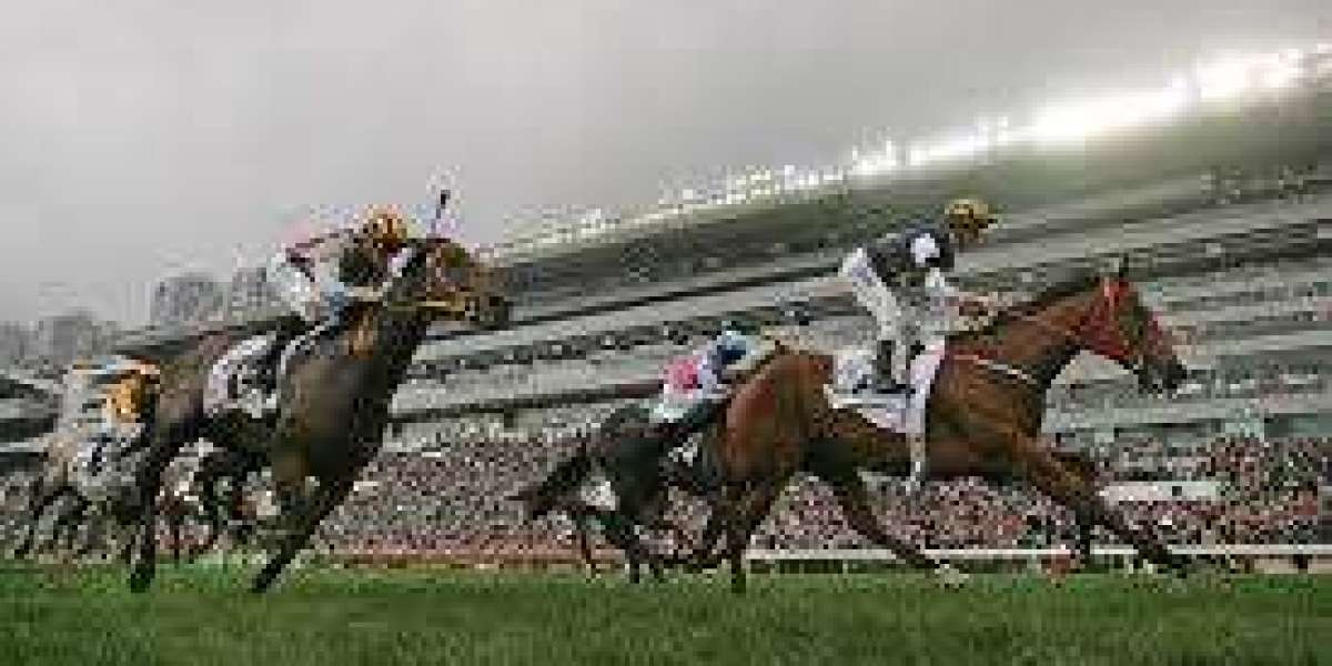 The Thrill and Tradition of Horse Racing