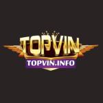 Cổng game TopVin Profile Picture