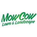 mowcowva Profile Picture