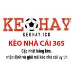 Kèo Nhà Cái 365 Profile Picture