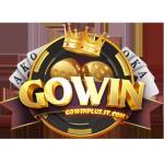 GOWIN ITCOM Profile Picture