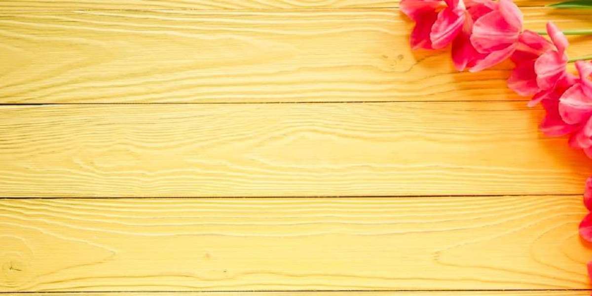 Talismania Casino-Erfolgsgeschichte