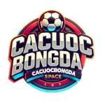 Cá Cược Bóng Đá Profile Picture