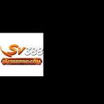 SV388 Profile Picture