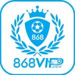 868vip dev Profile Picture