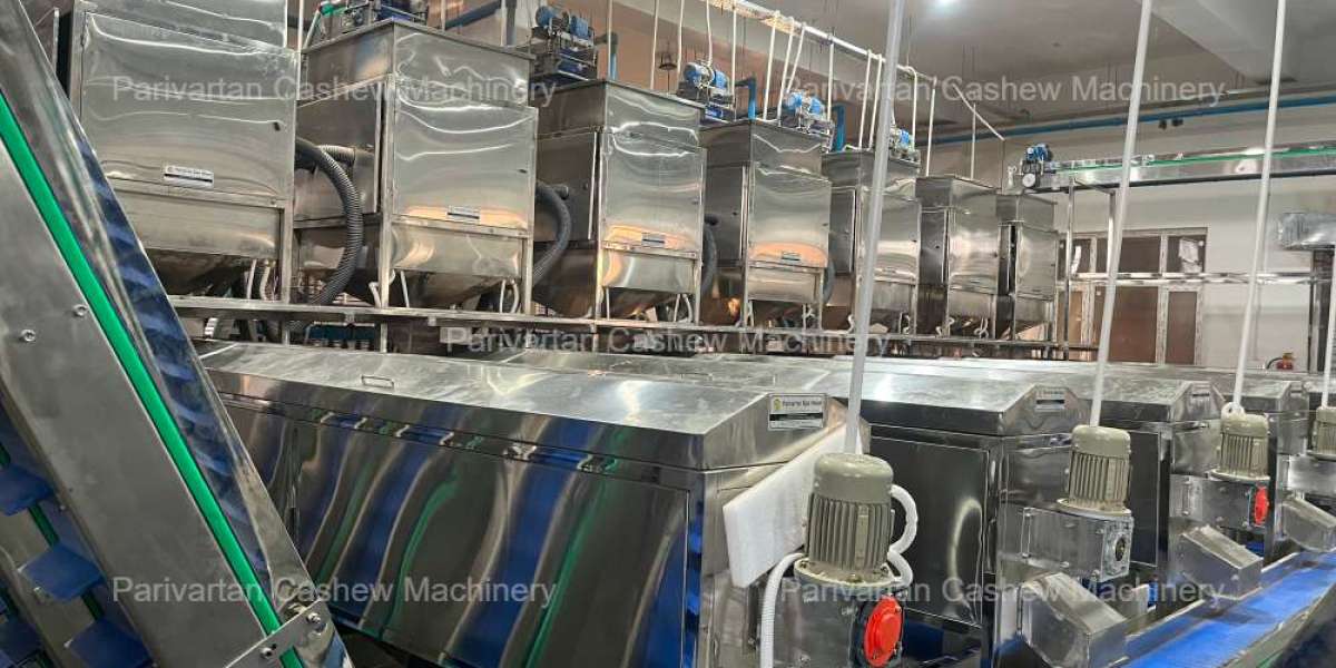 Automatic Cashew Peeling Machine: Enhancing Efficiency in Cashew Processing