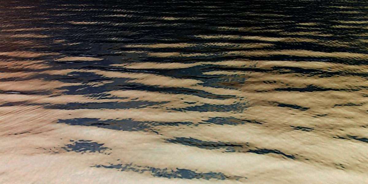 Normal Testosterone Levels By Age, Gender, And More