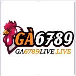 GA6789 Profile Picture