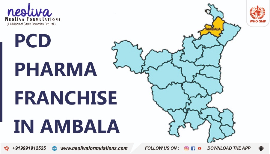 PCD Pharma Franchise in Ambala