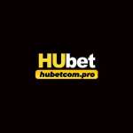 HUBETCOM PRO Profile Picture
