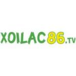 Xoilac TV Profile Picture