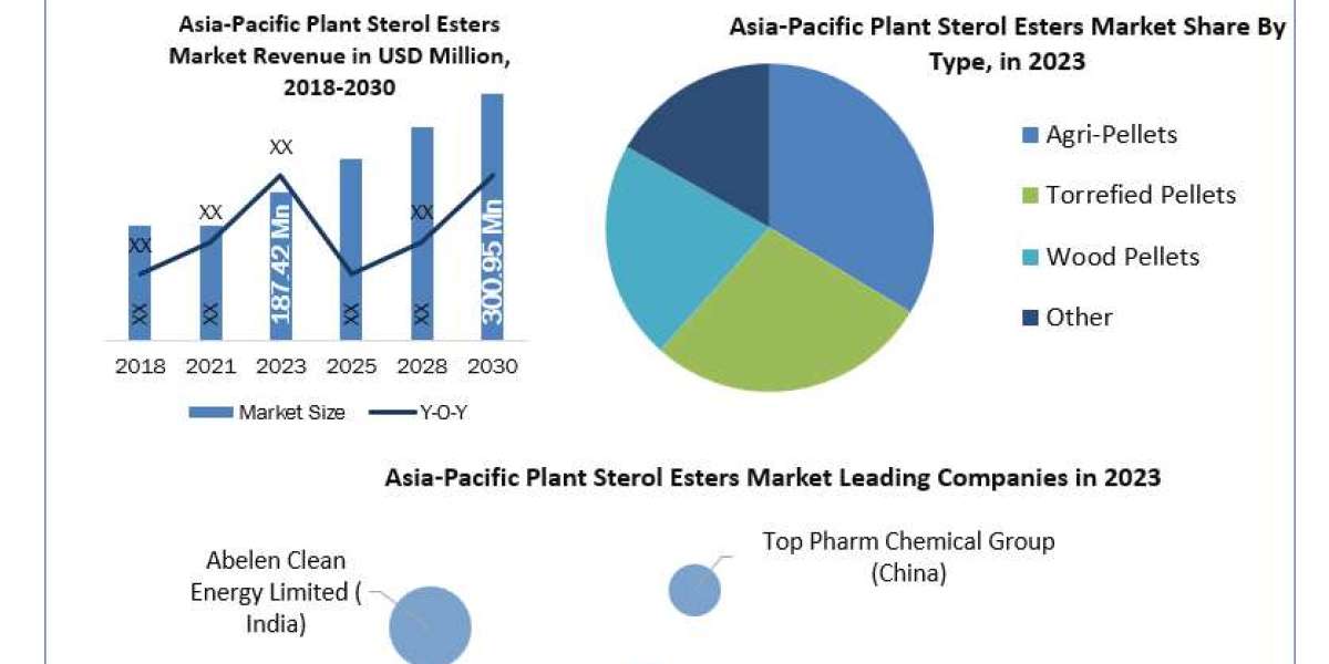 Asia-Pacific Plant Sterol Esters Market Demand, Opportunities, Sales Revenue, Forecast 2024-2030