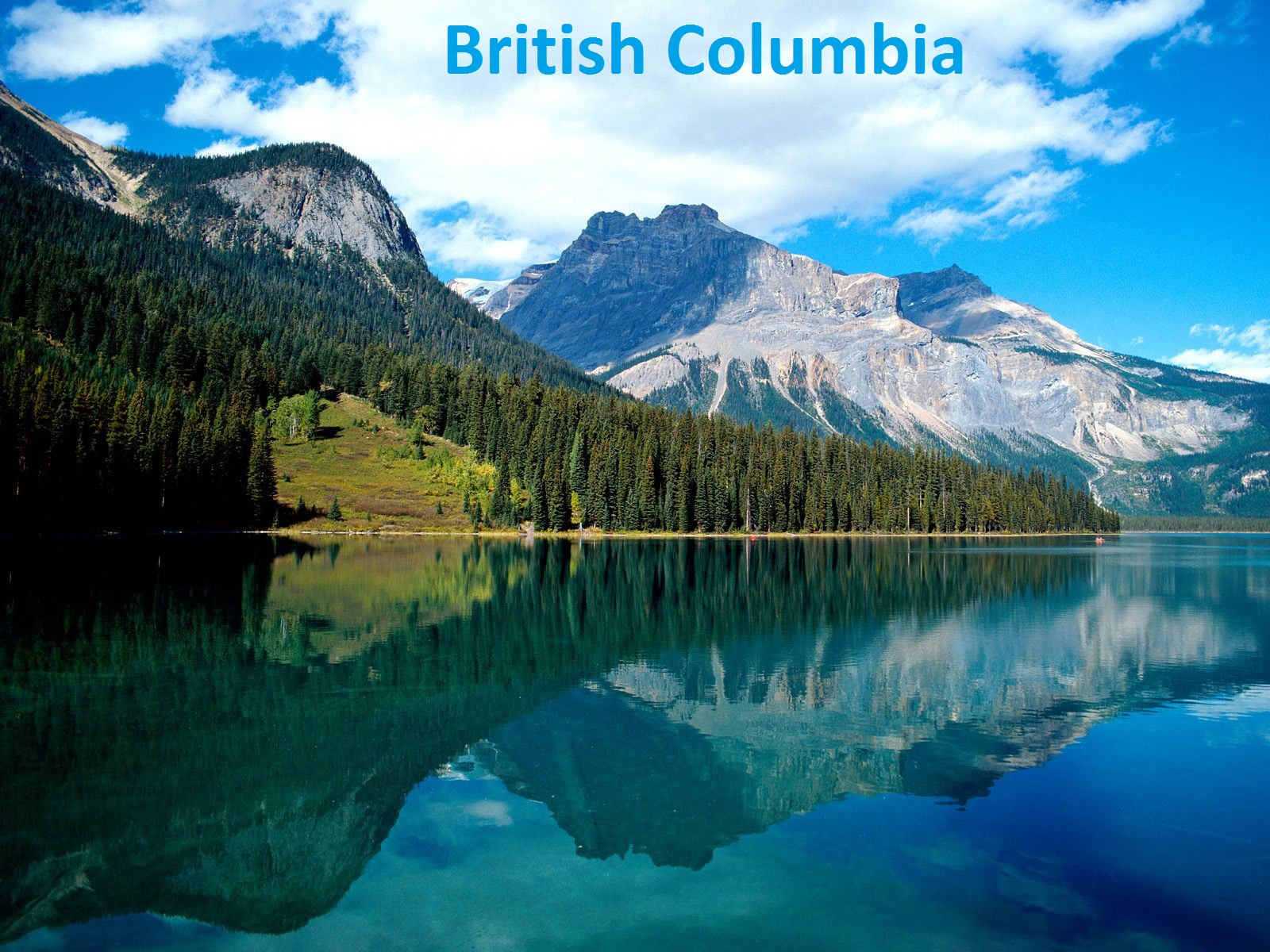 Car Title Loans British Columbia (BC): Vehicle Equity Loans