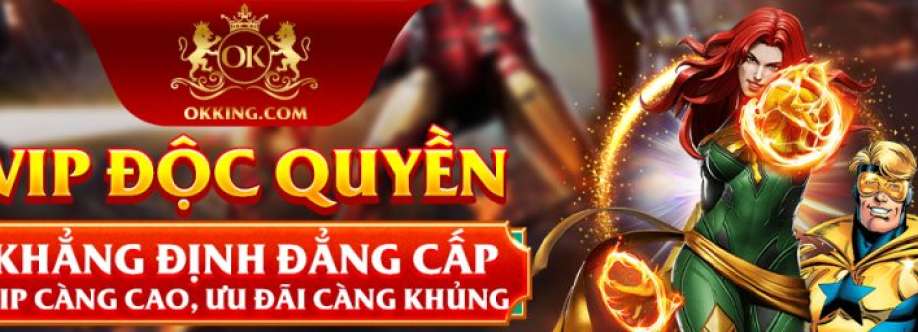 okkings net Cover Image