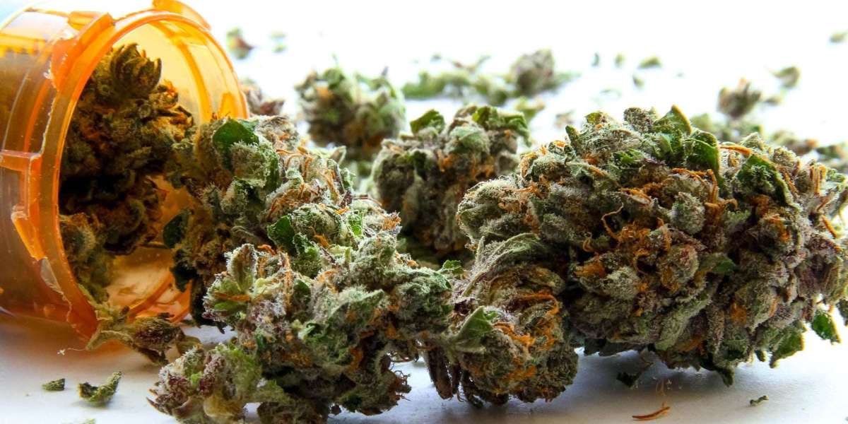 How Medical Marijuana Laws Enhance Health Routines with NYC Delivery