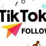 Buff follow TikTok Profile Picture