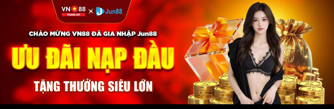 VN88B NET Cover Image