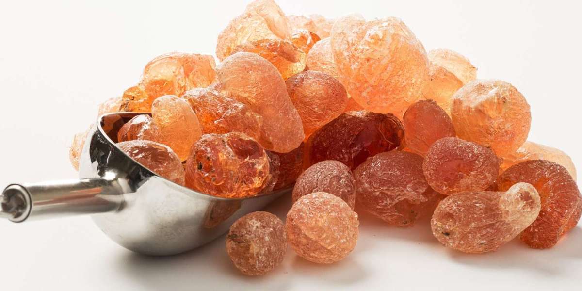 8 Steps to Establish a Successful Arabic Gum Manufacturing Plant