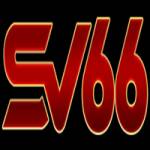 Nhà Cái SV66 Profile Picture