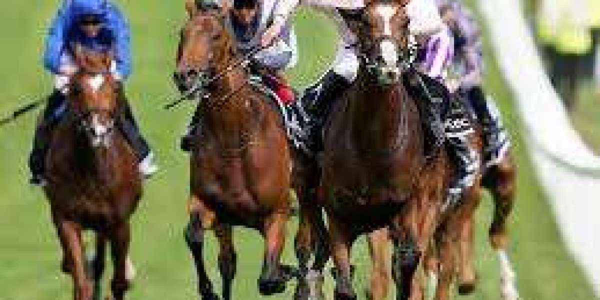 The Thrill of Horse Racing- A Deep Dive into the Sport of Kings