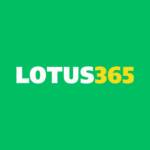 lotus 365 Profile Picture