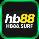 HB88 surf Profile Picture