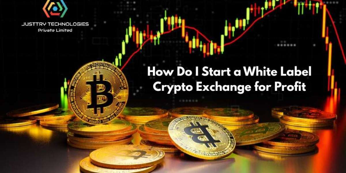 How Do I Start a White Label Crypto Exchange for Profit