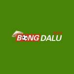 bongdalu thể thao Profile Picture
