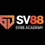 sv88 Profile Picture