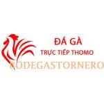 Đá Gà Trực Tiếp Thomo Profile Picture