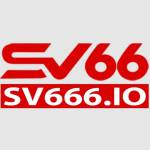 SV66 66 Profile Picture