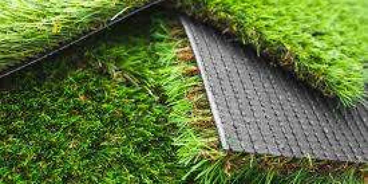 Understanding Turf- Types, Uses, and Importance