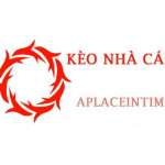 keonhacaiaplace Profile Picture