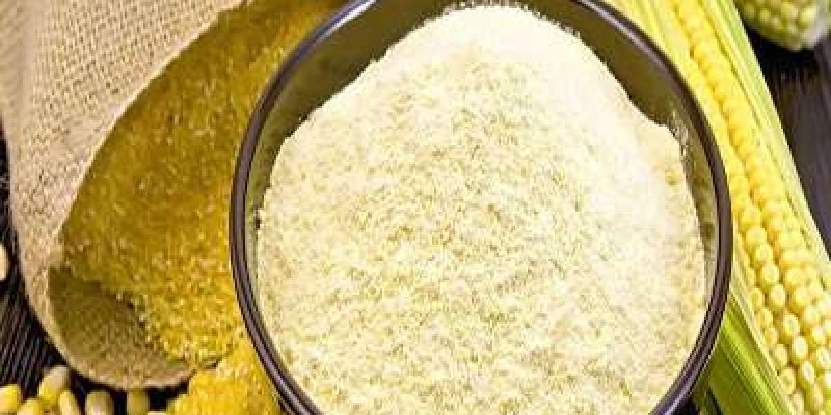 Maize (Corn) Prices: Market Analysis, Trend, Graph, News and Forecast