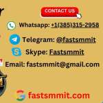 fastsmmit694 profile picture