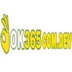 ok365comdev Profile Picture