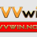 vvv win Profile Picture