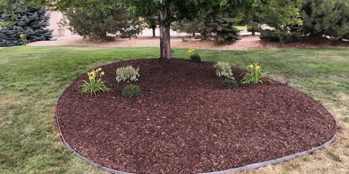 EcoScapes Lawn and Landscape: Transforming Outdoor Spaces in Fargo