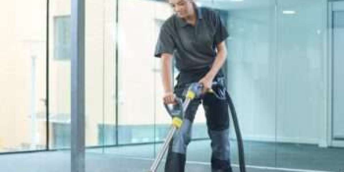 ﻿﻿How to Prepare Your Pets for Professional Carpet Cleaning Services