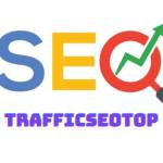 Traffic user Profile Picture