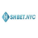 shbetnyc Profile Picture