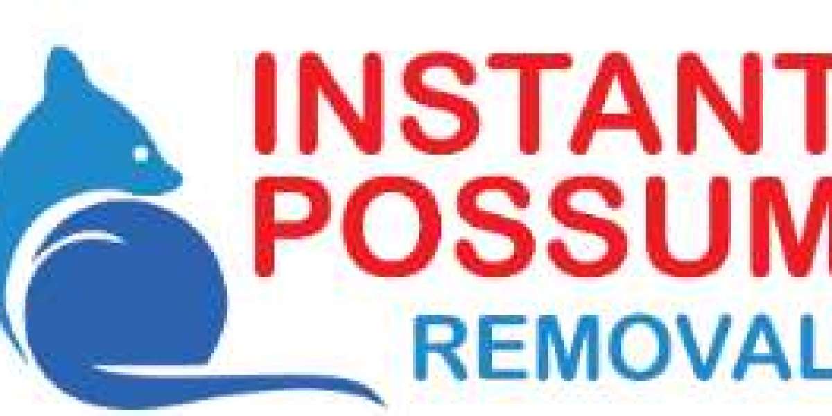 Expert Possum Removal Services in Templestowe – Instant Possum Removal